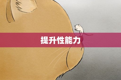 提升性能力