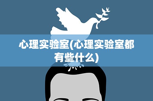 心理实验室(心理实验室都有些什么)