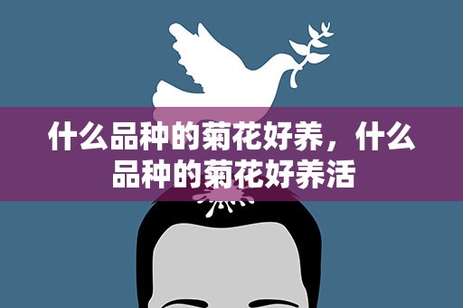 什么品种的菊花好养，什么品种的菊花好养活