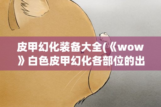 皮甲幻化装备大全(《wow》白色皮甲幻化各部位的出处是哪)