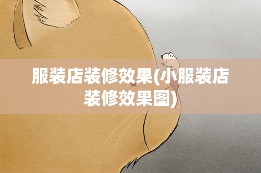 服装店装修效果(小服装店装修效果图)