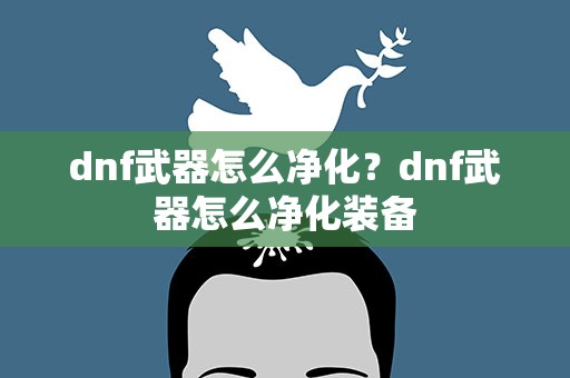 dnf武器怎么净化？dnf武器怎么净化装备