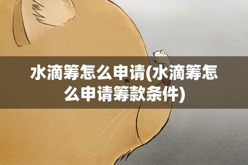 水滴筹怎么申请(水滴筹怎么申请筹款条件)