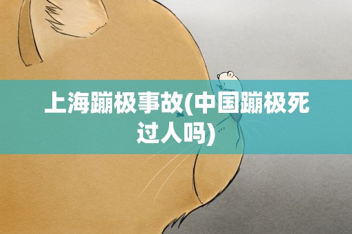 上海蹦极事故(中国蹦极死过人吗)