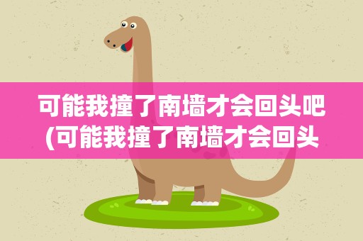 可能我撞了南墙才会回头吧(可能我撞了南墙才会回头吧是什么歌)