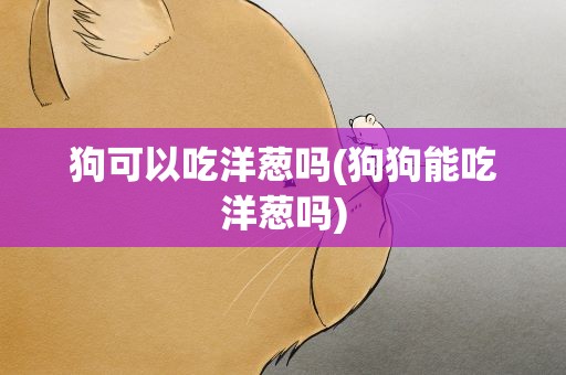 狗可以吃洋葱吗(狗狗能吃洋葱吗)