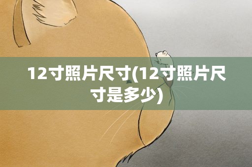 12寸照片尺寸(12寸照片尺寸是多少)