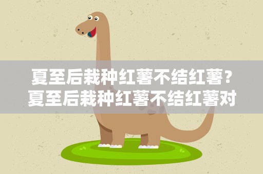 夏至后栽种红薯不结红薯？夏至后栽种红薯不结红薯对嘛