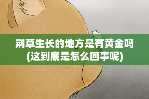 荆草生长的地方是有黄金吗(这到底是怎么回事呢)