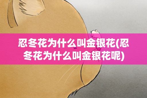 忍冬花为什么叫金银花(忍冬花为什么叫金银花呢)