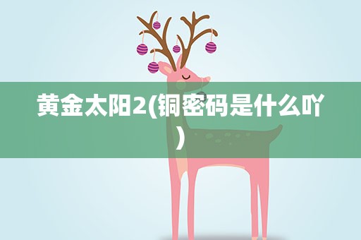 黄金太阳2(铜密码是什么吖)