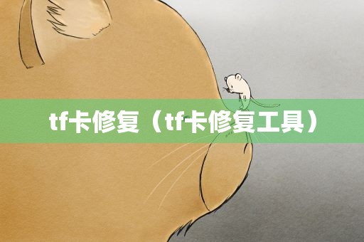 tf卡修复（tf卡修复工具）