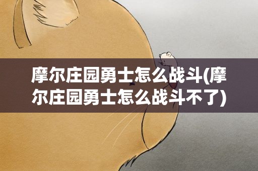 摩尔庄园勇士怎么战斗(摩尔庄园勇士怎么战斗不了)