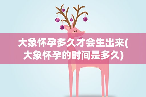 大象怀孕多久才会生出来(大象怀孕的时间是多久)