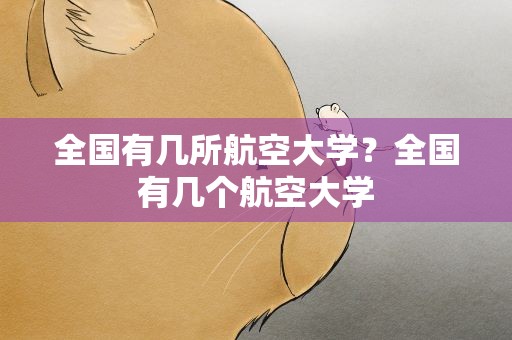 全国有几所航空大学？全国有几个航空大学