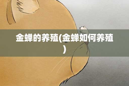金蝉的养殖(金蝉如何养殖)