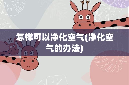 怎样可以净化空气(净化空气的办法)