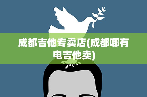 成都吉他专卖店(成都哪有电吉他卖)