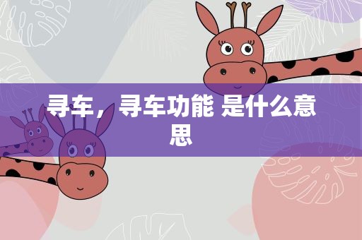 寻车，寻车功能 是什么意思