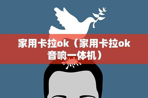 家用卡拉ok（家用卡拉ok音响一体机）