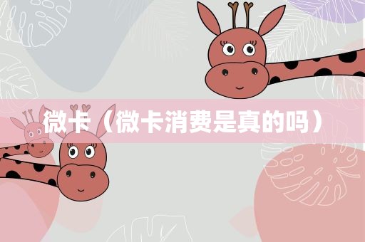 微卡（微卡消费是真的吗）