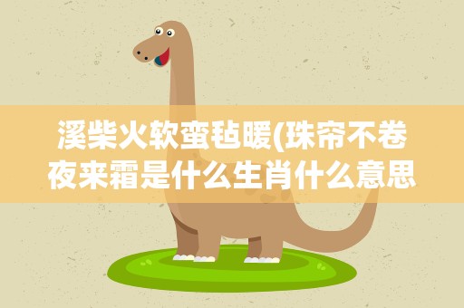 溪柴火软蛮毡暖(珠帘不卷夜来霜是什么生肖什么意思啊)