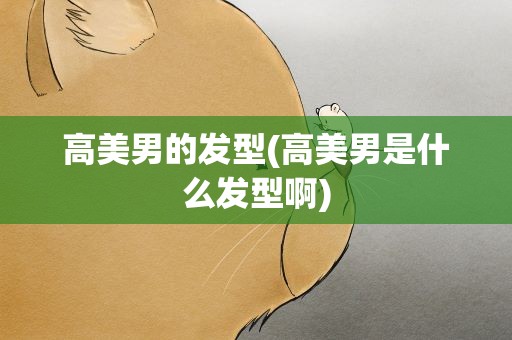 高美男的发型(高美男是什么发型啊)
