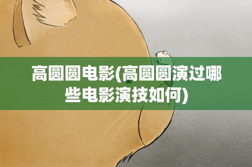高圆圆电影(高圆圆演过哪些电影演技如何)