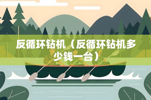 反循环钻机（反循环钻机多少钱一台）