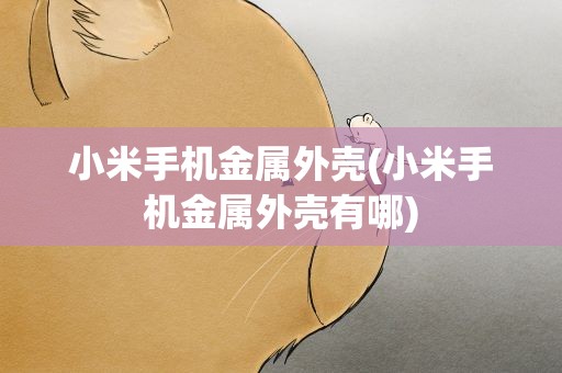 小米手机金属外壳(小米手机金属外壳有哪)