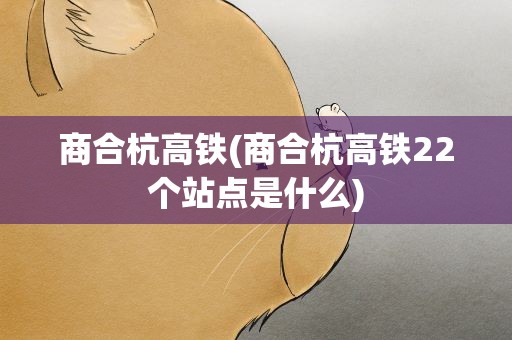 商合杭高铁(商合杭高铁22个站点是什么)