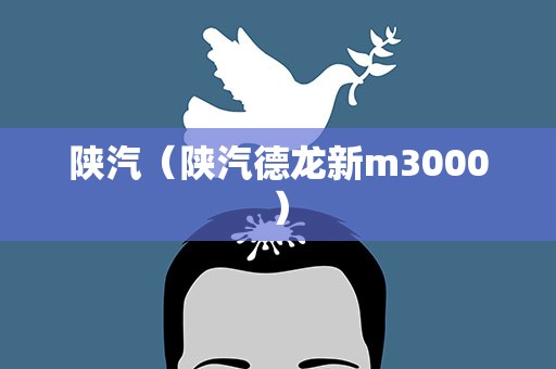 陕汽（陕汽德龙新m3000）