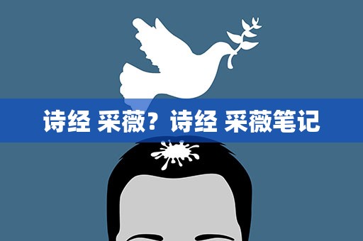 诗经 采薇？诗经 采薇笔记