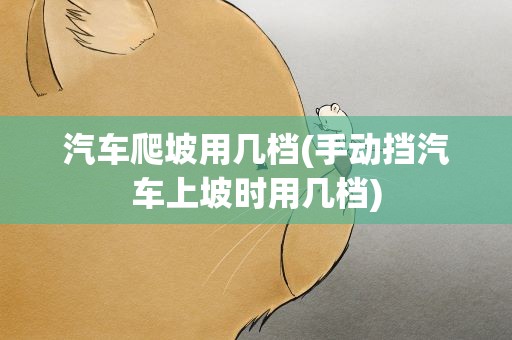 汽车爬坡用几档(手动挡汽车上坡时用几档)