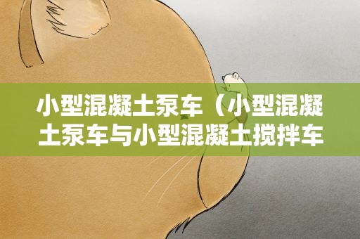 小型混凝土泵车（小型混凝土泵车与小型混凝土搅拌车价格）