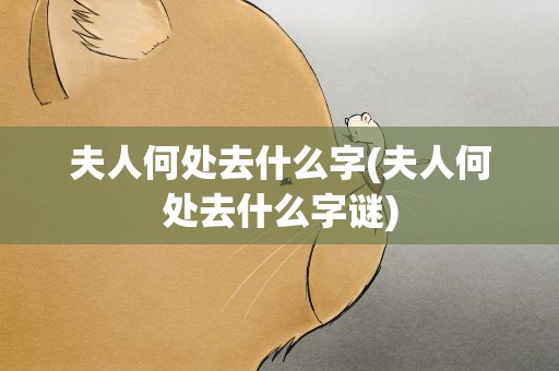夫人何处去什么字(夫人何处去什么字谜)