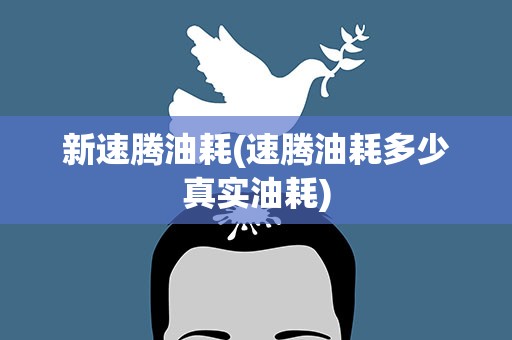 新速腾油耗(速腾油耗多少真实油耗)