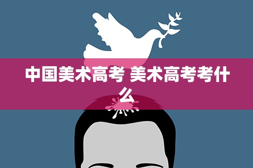 中国美术高考 美术高考考什么