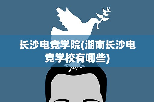 长沙电竞学院(湖南长沙电竞学校有哪些)