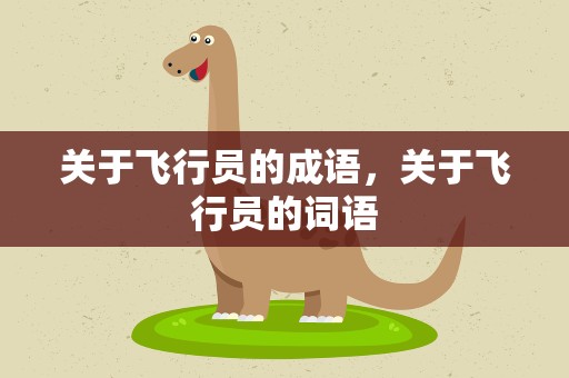 关于飞行员的成语，关于飞行员的词语