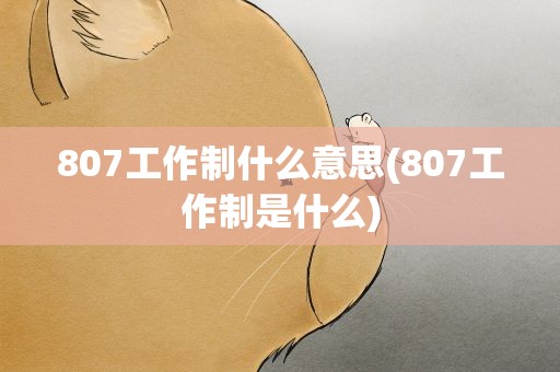 807工作制什么意思(807工作制是什么)