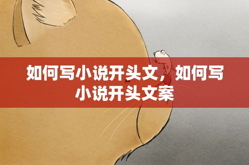 如何写小说开头文，如何写小说开头文案
