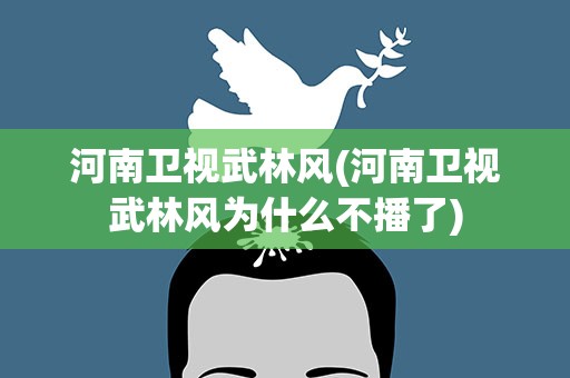 河南卫视武林风(河南卫视武林风为什么不播了)