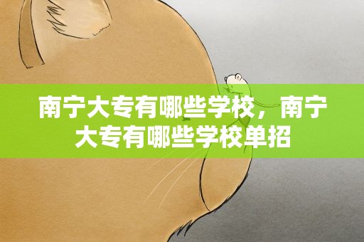 南宁大专有哪些学校，南宁大专有哪些学校单招