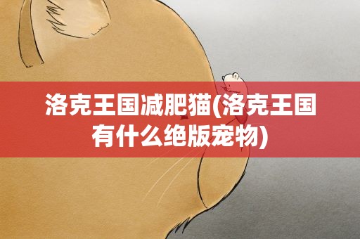 洛克王国减肥猫(洛克王国有什么绝版宠物)