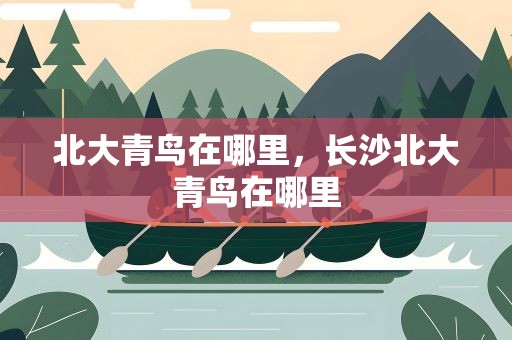 北大青鸟在哪里，长沙北大青鸟在哪里