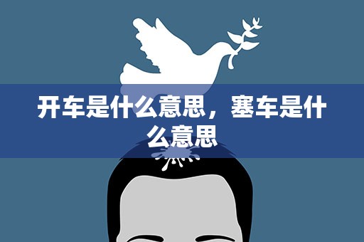 开车是什么意思，塞车是什么意思