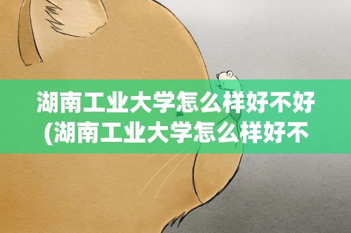湖南工业大学怎么样好不好(湖南工业大学怎么样好不好考)