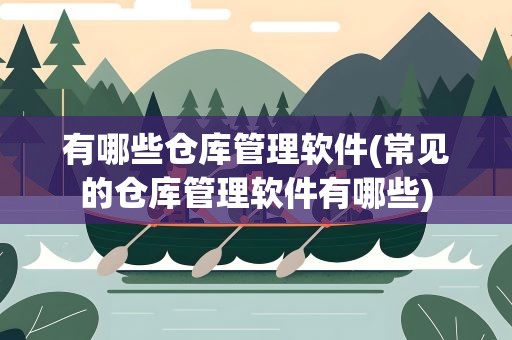 有哪些仓库管理软件(常见的仓库管理软件有哪些)