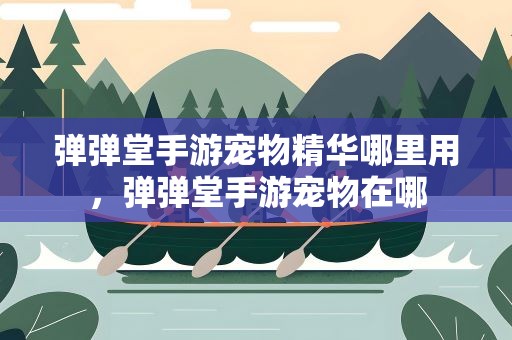 弹弹堂手游宠物精华哪里用，弹弹堂手游宠物在哪